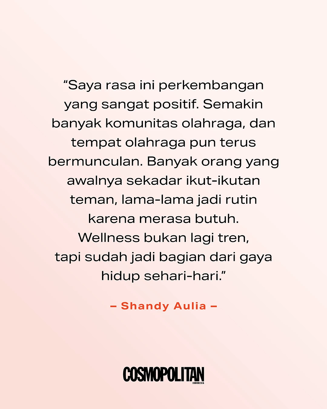 shandy aulia