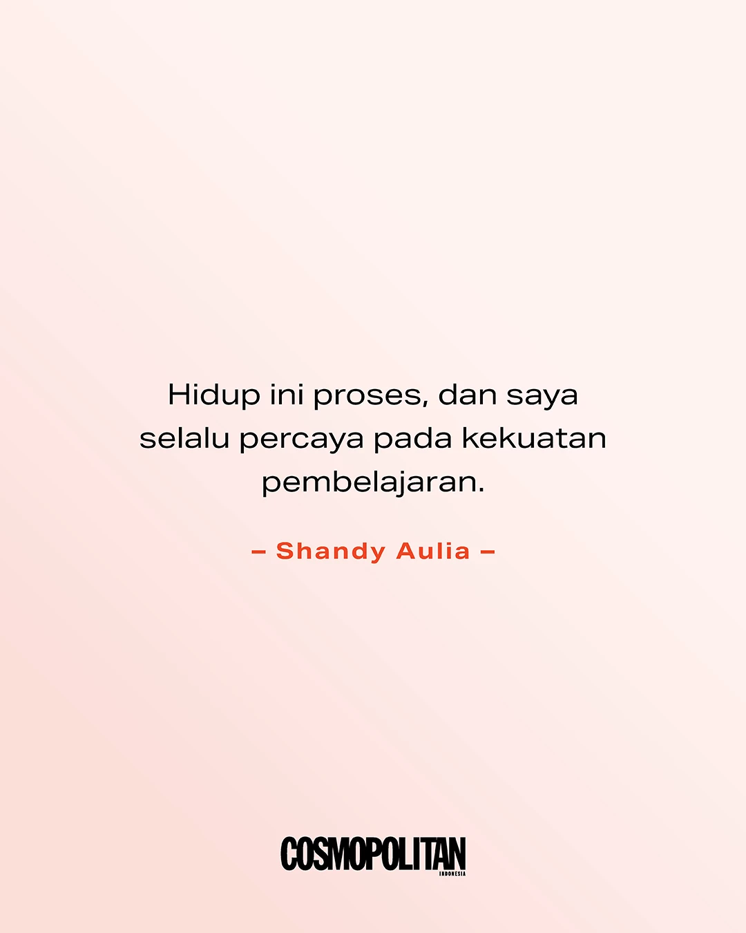shandy aulia